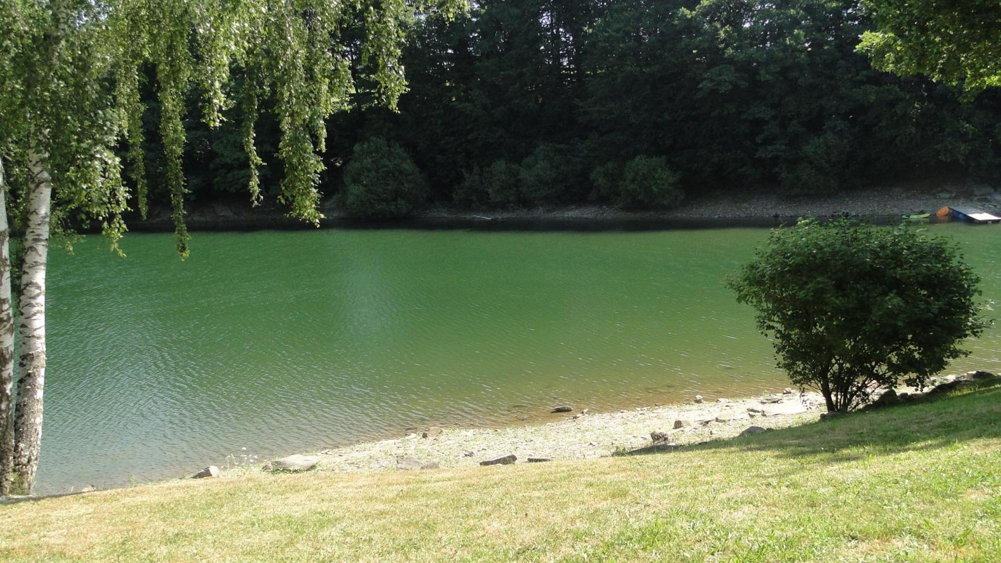Maison Lac De Pareloup -Les Pieds Dans L'Eau- Arvieu Екстериор снимка